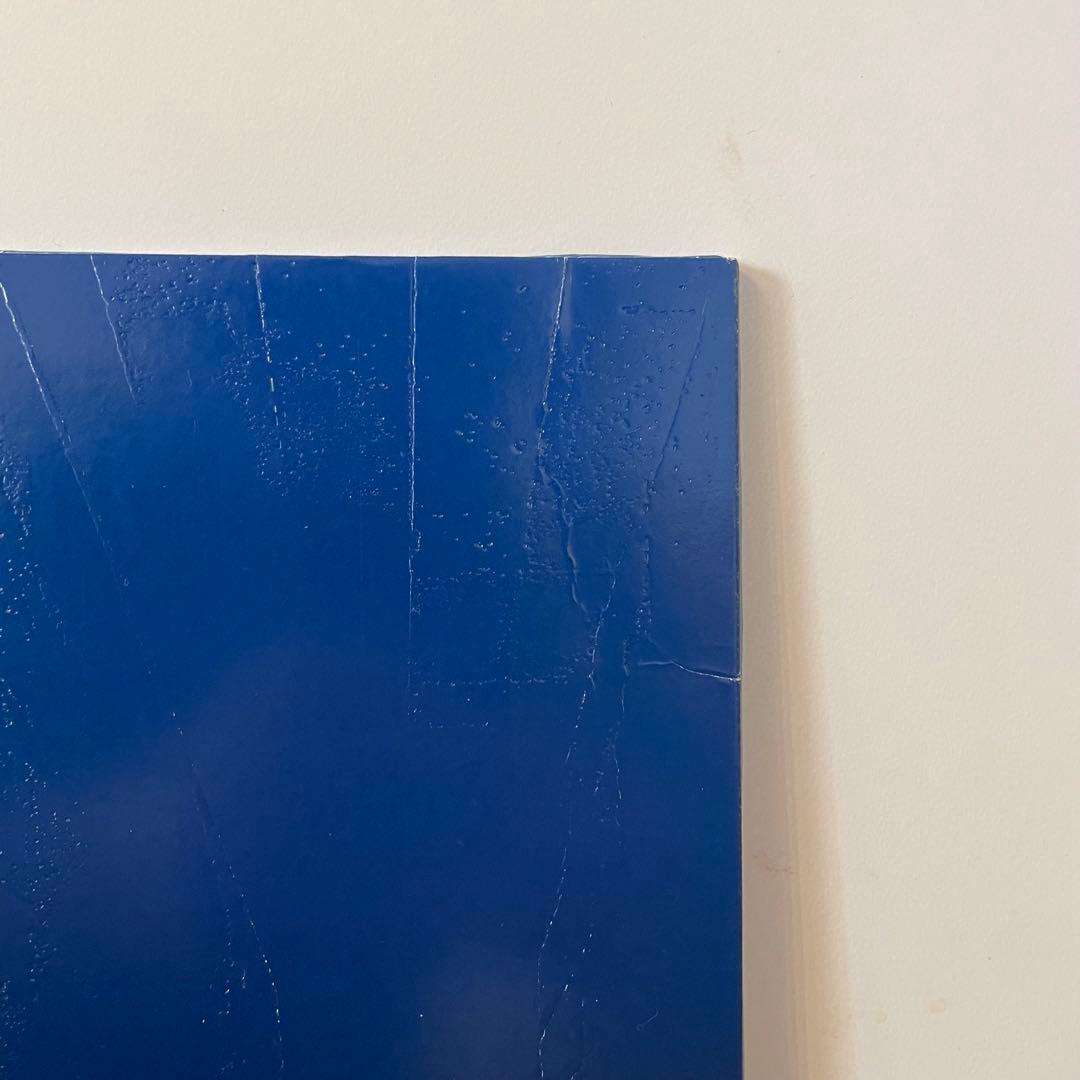 おまけ付きSTILLING STILL DREAMING 2LP