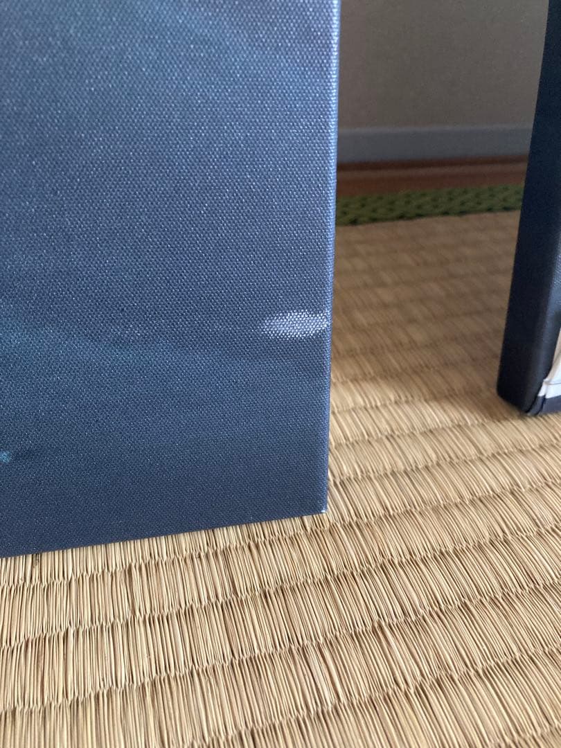 廃盤）IKEA アートパネル PJÄTTERYD 3点セット 飛び立つ鳥の絵