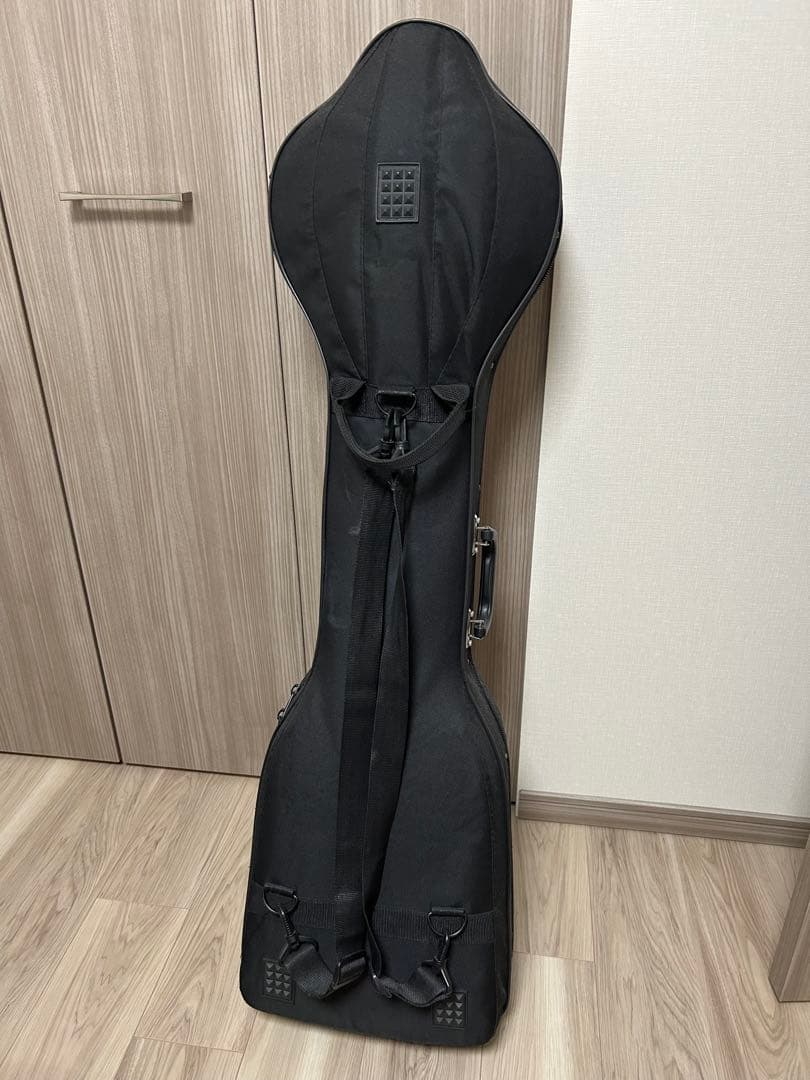 馬頭琴、民族楽器