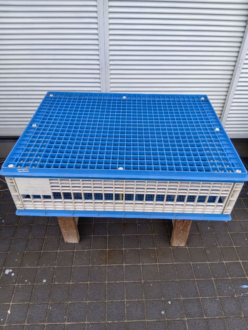 放鳩籠 コンテナ レース鳩 移送 搬送 輸送 コンテナー キャディー 愛鳩の友