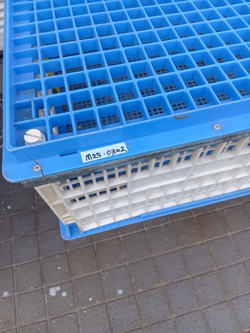 放鳩籠 コンテナ レース鳩 移送 搬送 輸送 コンテナー キャディー 愛鳩の友