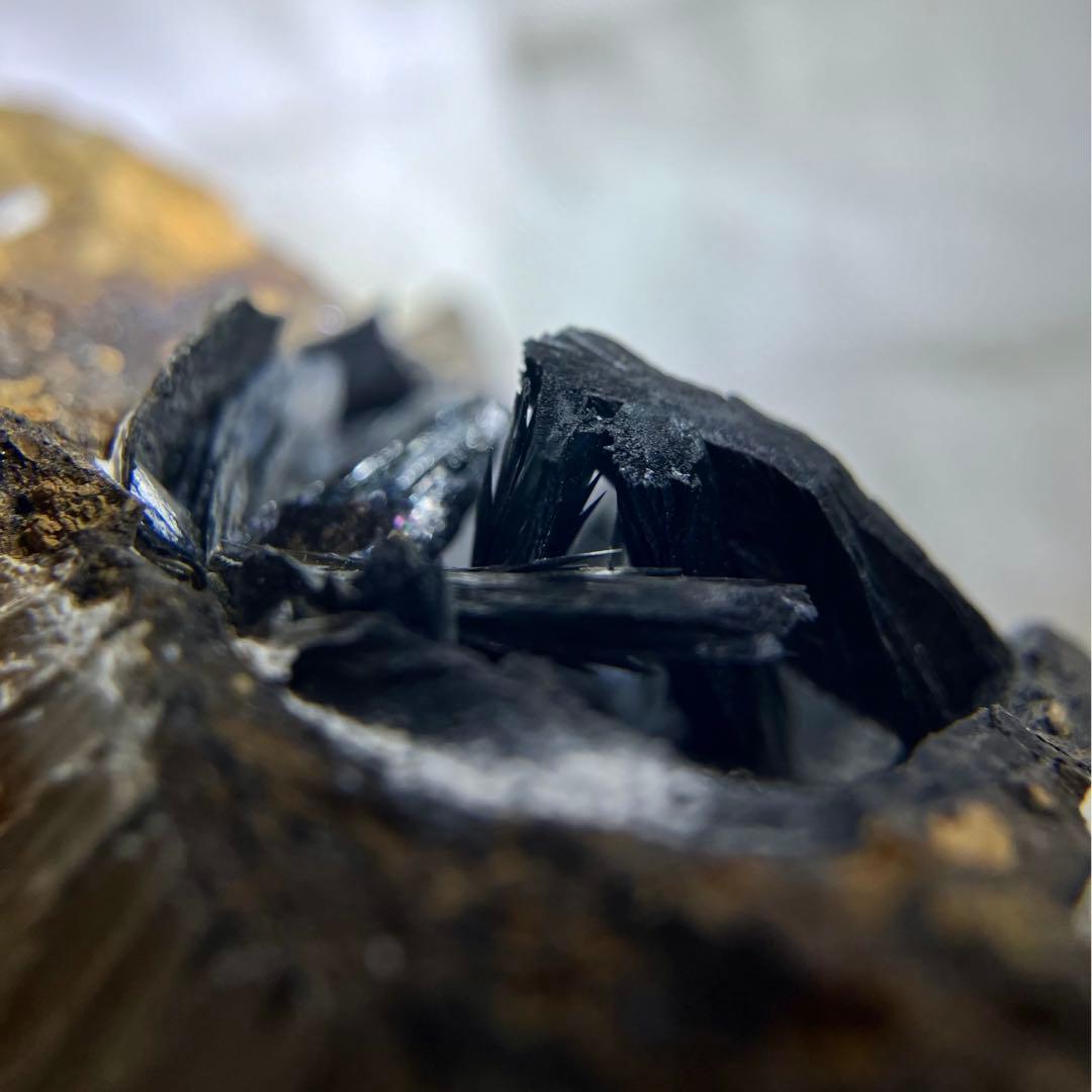 希少 ヴィヴィアナイト シェルフォッシル 藍鉄鉱 貝化石 原石 標本 72g