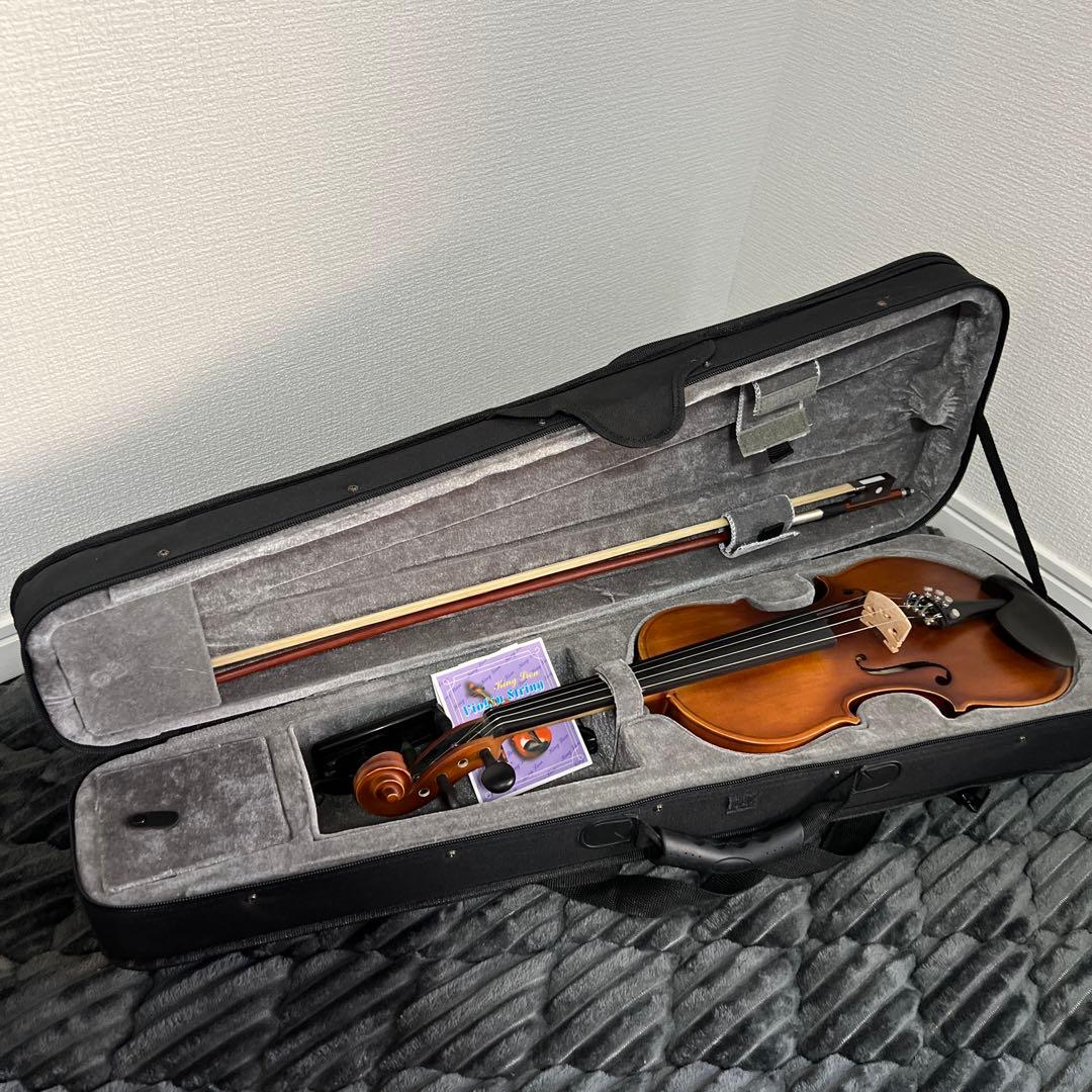 【美品｜ケース付】HALLSTATT ハルシュタット V-12