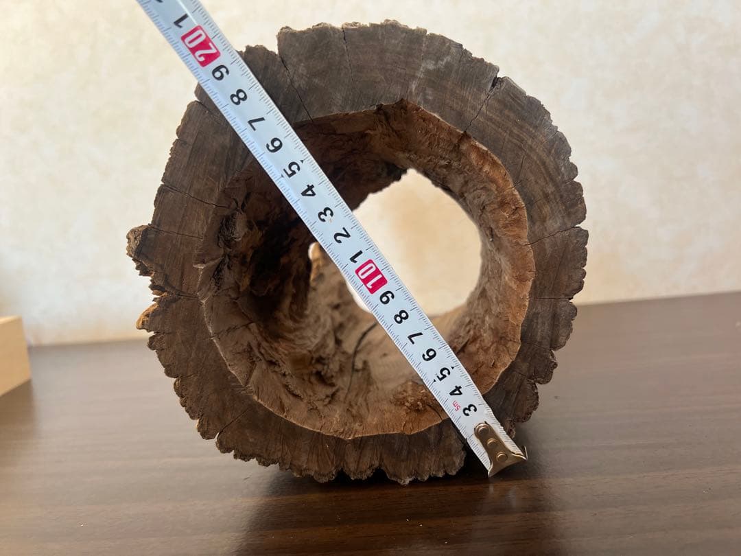 HX-008 流木 空洞 爬虫類 アクアリウム アクアテラリウム 即沈水