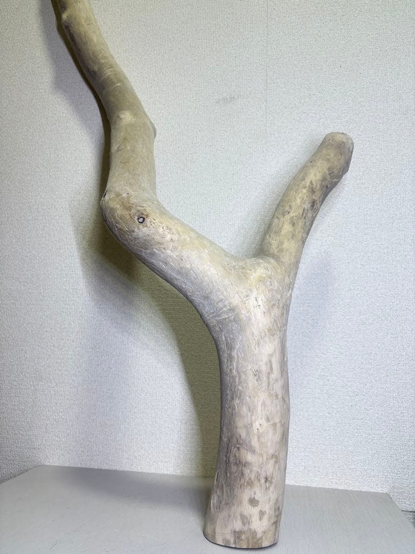 G7 流木 灰汁抜き処理済み 美肌美白特大流木122cm 格安！アク抜き済み