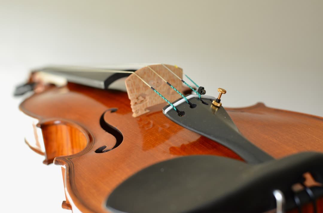 極虎杢 新品】Gliga Vasile Maestro バイオリン 4/4