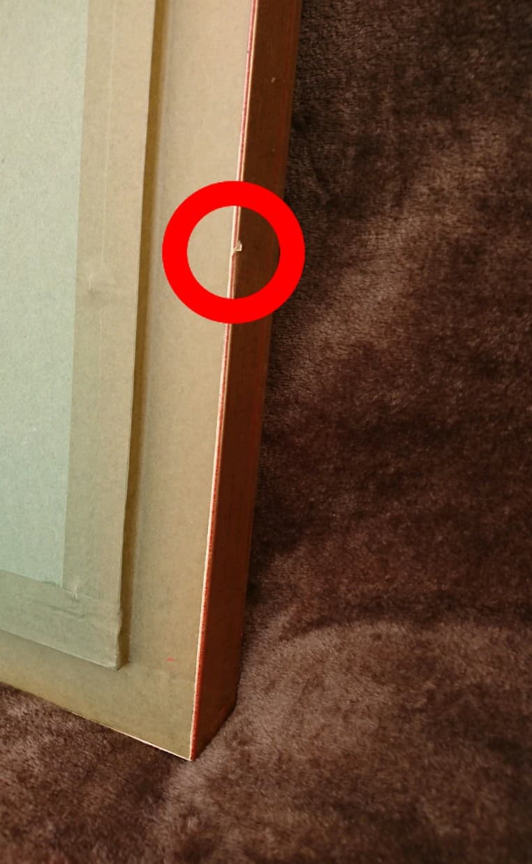 ＊壮麗 ＊  マリー・アントワネット 額装 (額縁 縦57.5㎝)