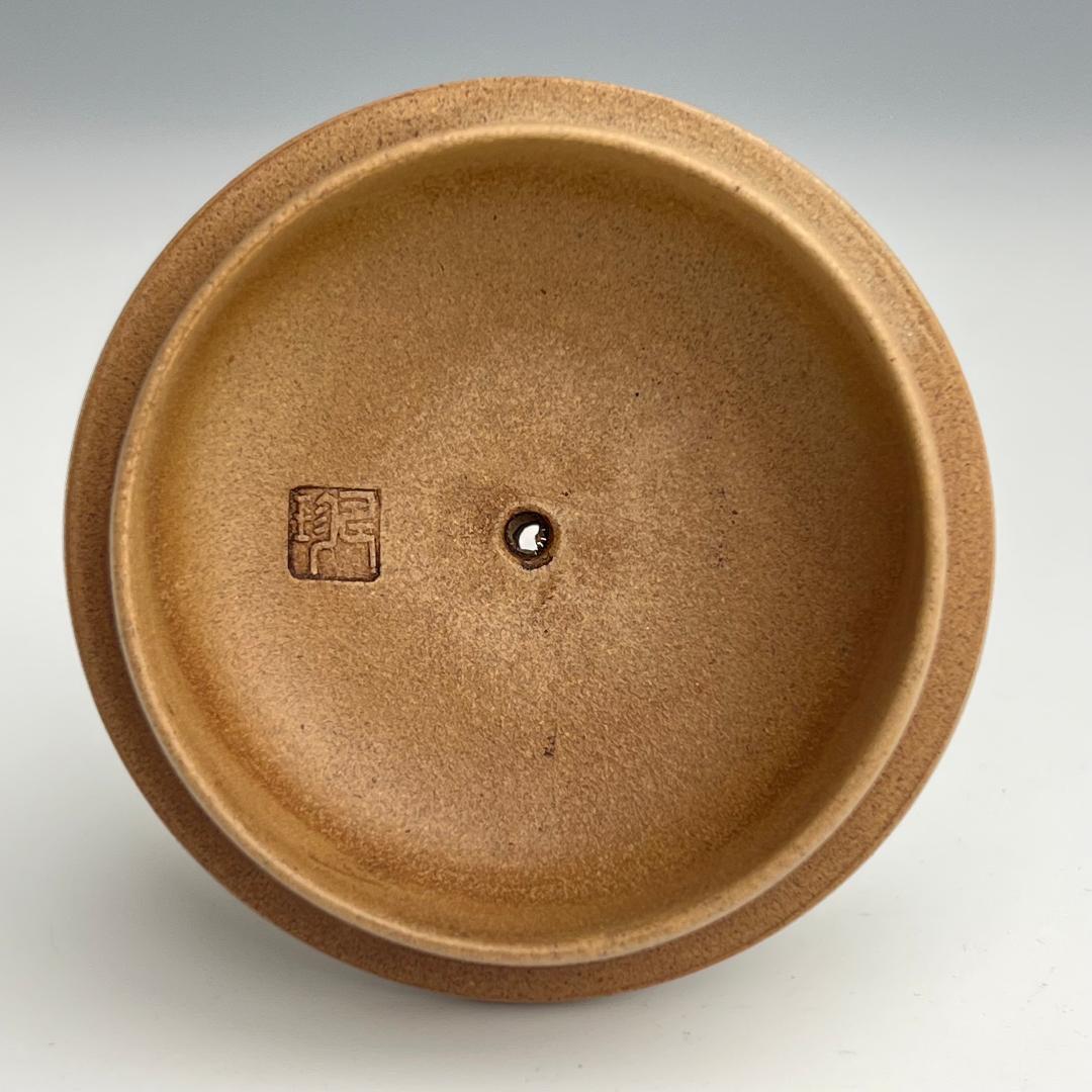 梨皮 朱泥 泳心道人 底款 寿珍 蓋裏印 煎茶急須