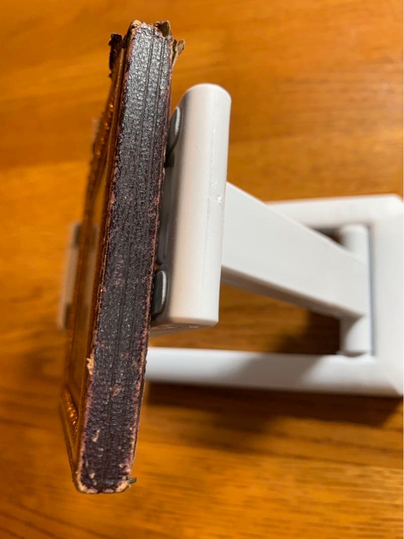 アンブロタイプ アンティークフォト ロット（2）夫と妻 面白い手書きの