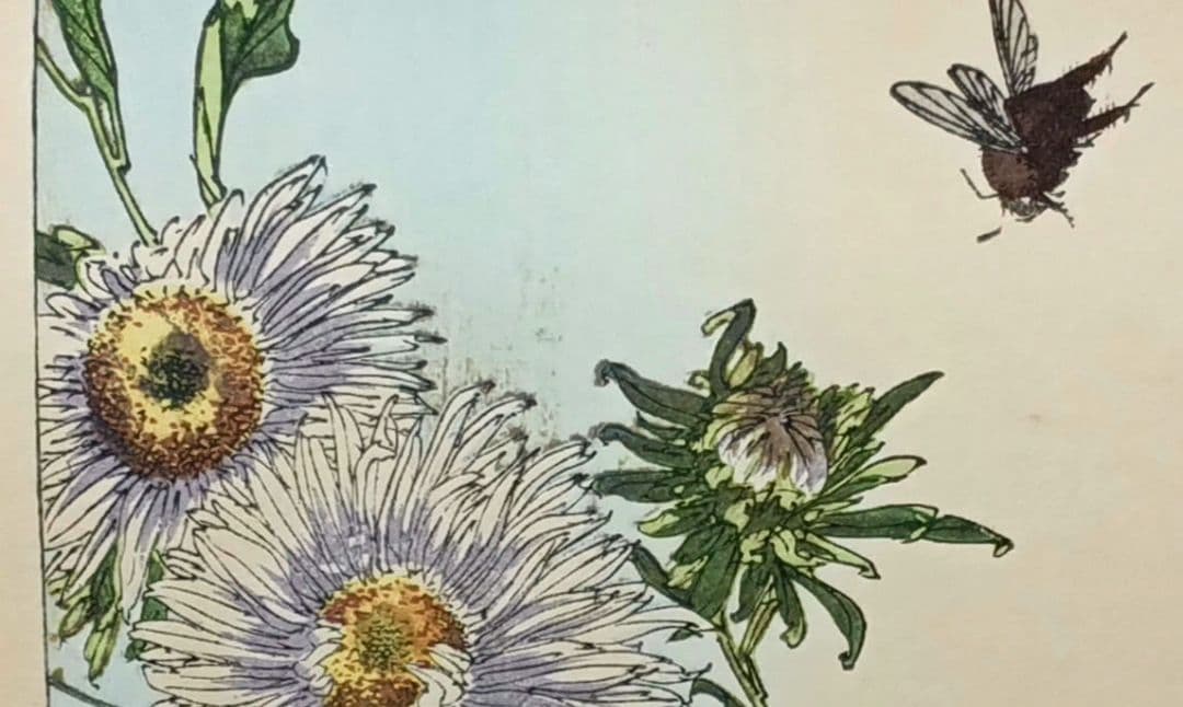 稀省亭版画花鳥画帖12図柄入り渡辺省亭画、明治後期頃