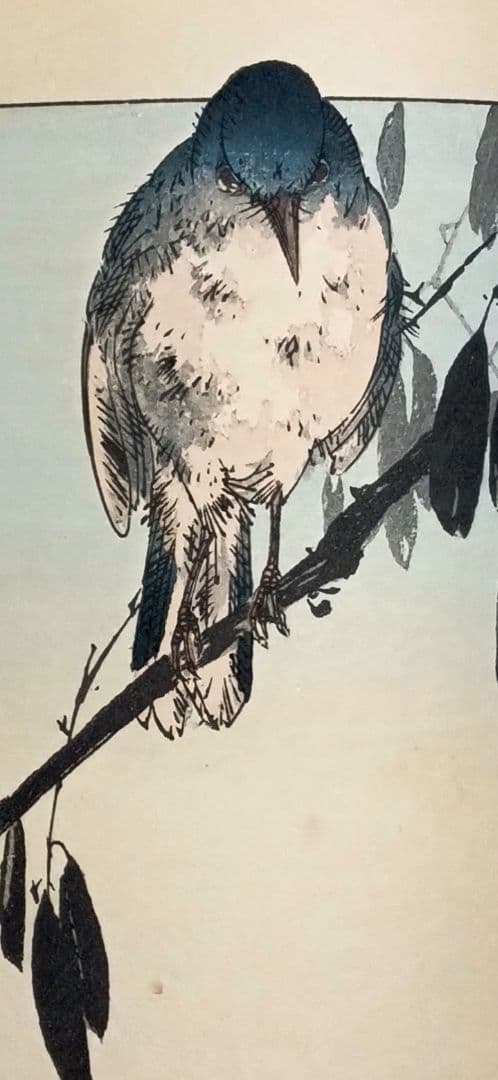 稀省亭版画花鳥画帖12図柄入り渡辺省亭画、明治後期頃