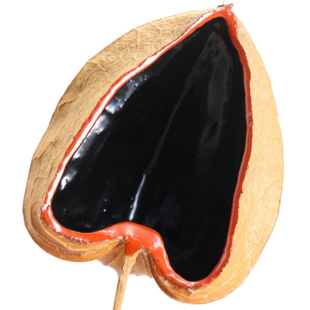 三代 中村尚濤済(喜太郎) 鬼灯 香合 乾漆 茶道具 共箱共布　rC799　N4