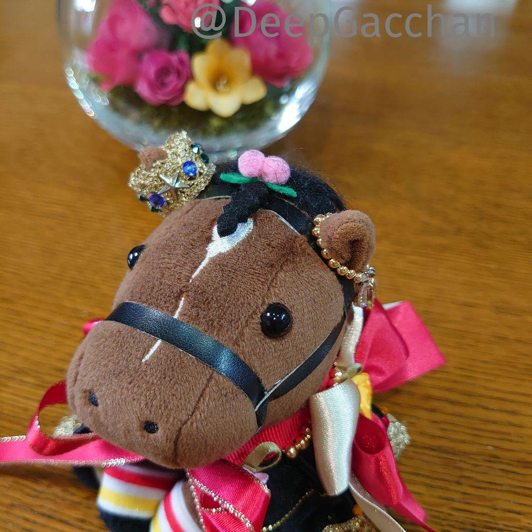 リバティアイランド アイドルホースドレス・マント Sサイズ アイドル