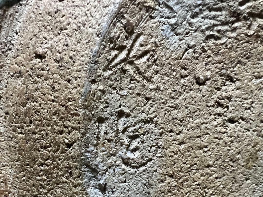 三輪雪堂 九代三輪休雪 萩砂金袋水指 共箱 古