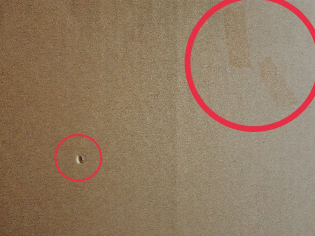 アンティークプリント○ランバート「蘭」1885年