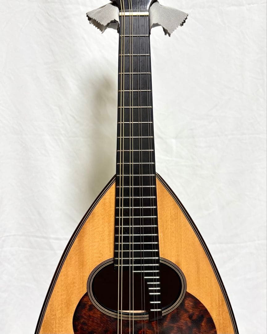 新品弦張替済】SUZUKI マンドリン M-30 チューナー/ピック/ケース