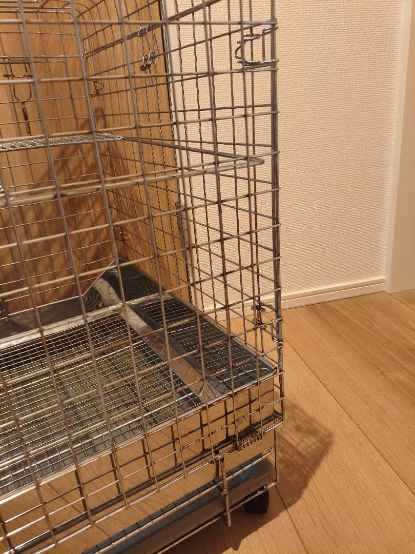 プロケージ60 二階建て うさぎのしっぽ うさぎのしっぽ プロケージ60