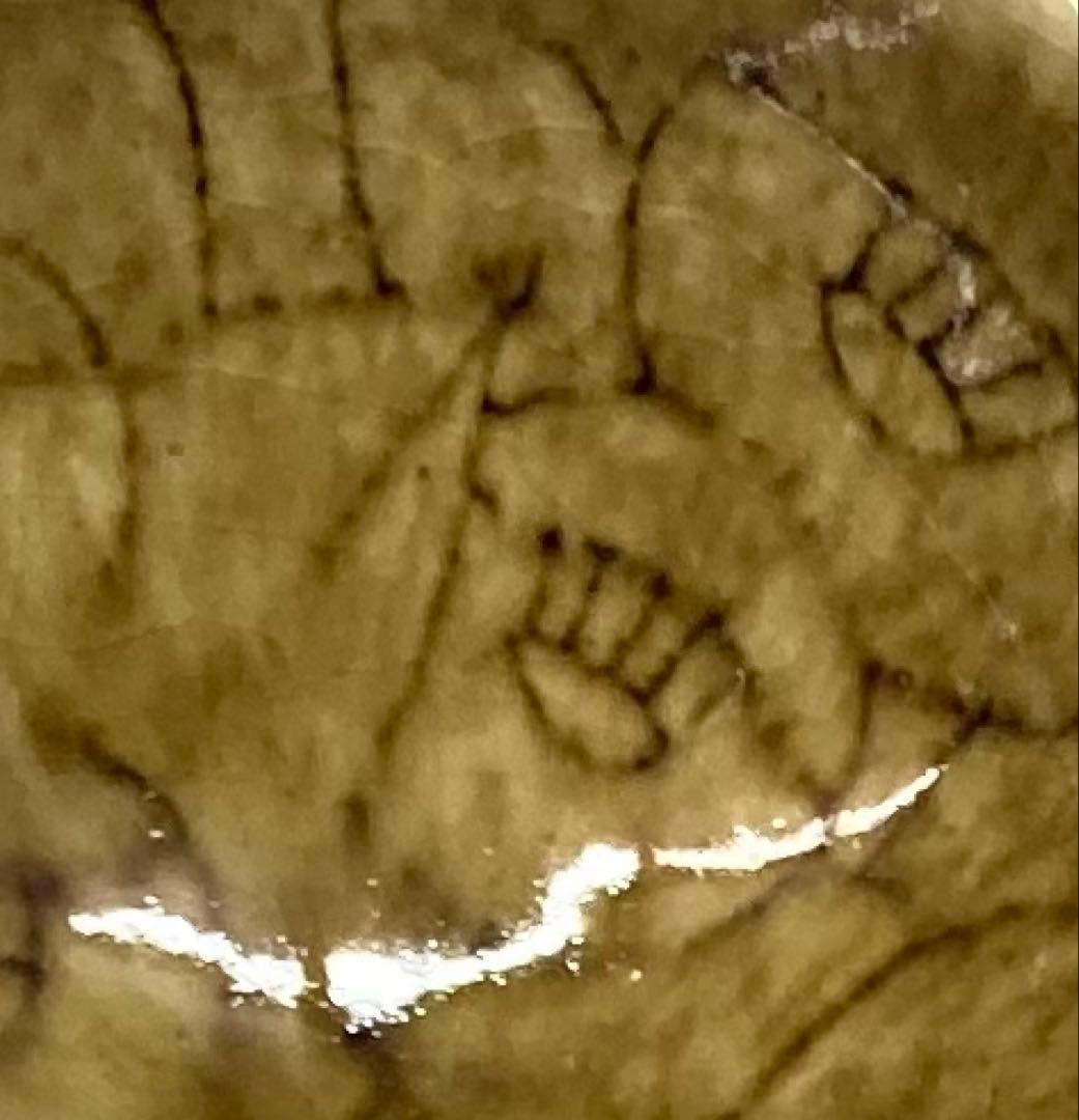 B529b「鉄釉 椿文盃」唐木尚勇作　共箱　酒器　ぐい呑