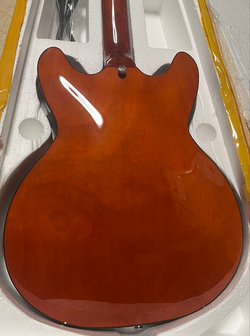 セミホロウボディ ステンレスフレット メタルフィニッシュ(ブルー)