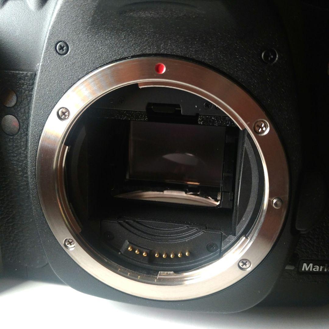 Canon EOS 5D Mark IIレンズ付きシャッター回数少なめ！美品