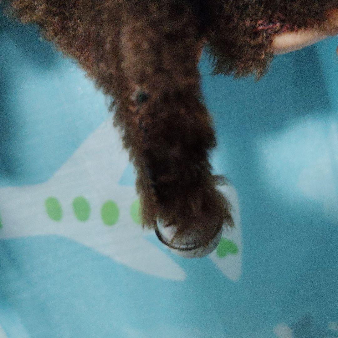 モンキー　ぬいぐるみ　鈴　マスコット レトロ　モンチッチ　2体セット