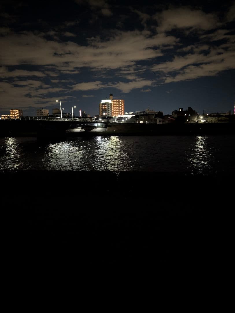 【新品】ナイトビジョン　DIBULO NVG3rd