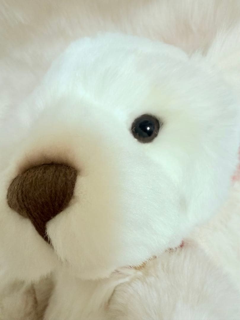 ☆ポンコポンコ☆ ☆チャーリーベアーズ☆ Spirit ☆美品♪