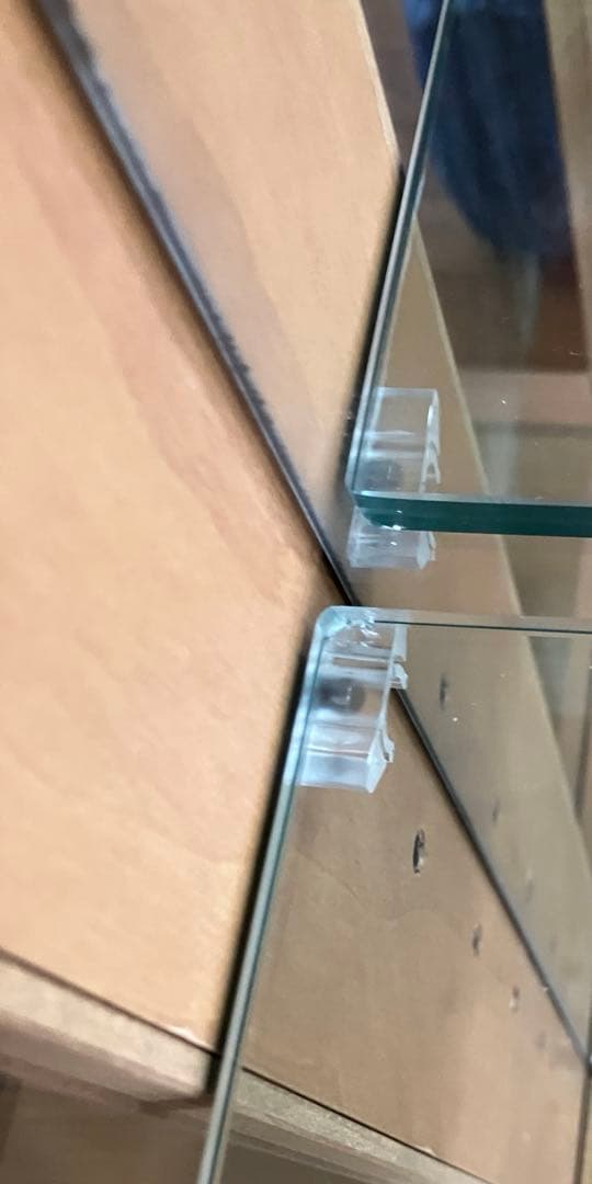 キュリオケース(ガラスケース) 日本製 ナチュラル(キャメル) キュリオ