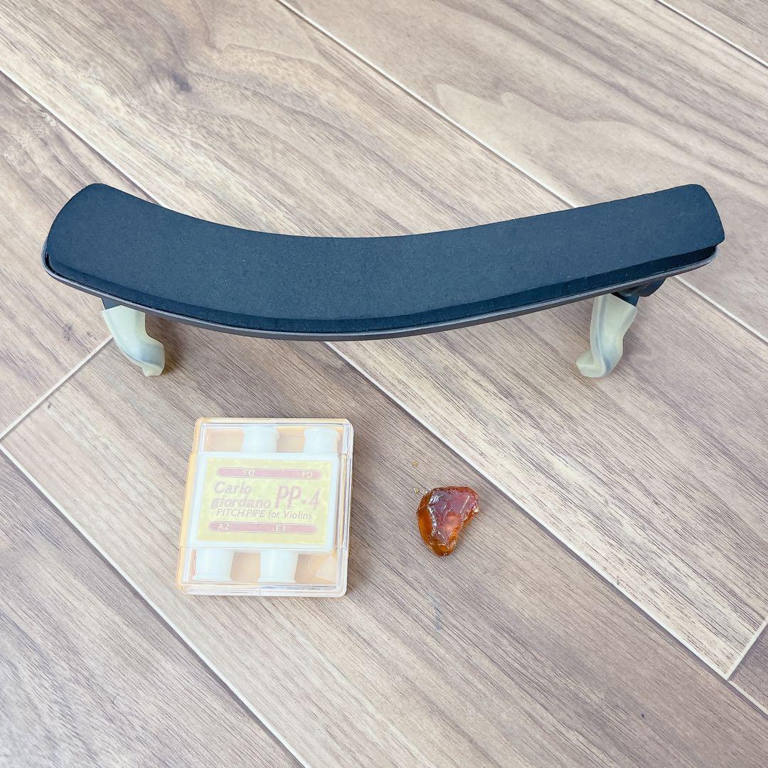 Carlogiordano vs-1 3/4 バイオリン