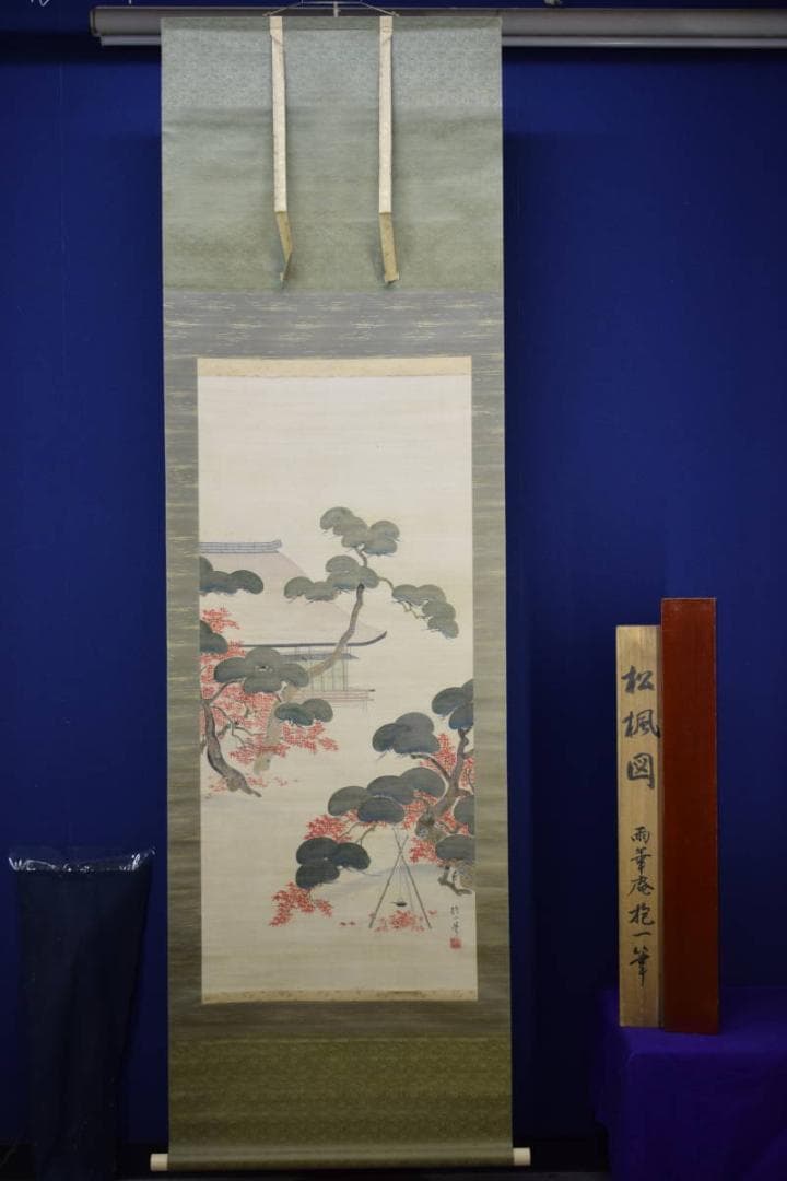 模写/酒井抱一/松楓図/桐題箱二重箱付/布袋屋掛軸