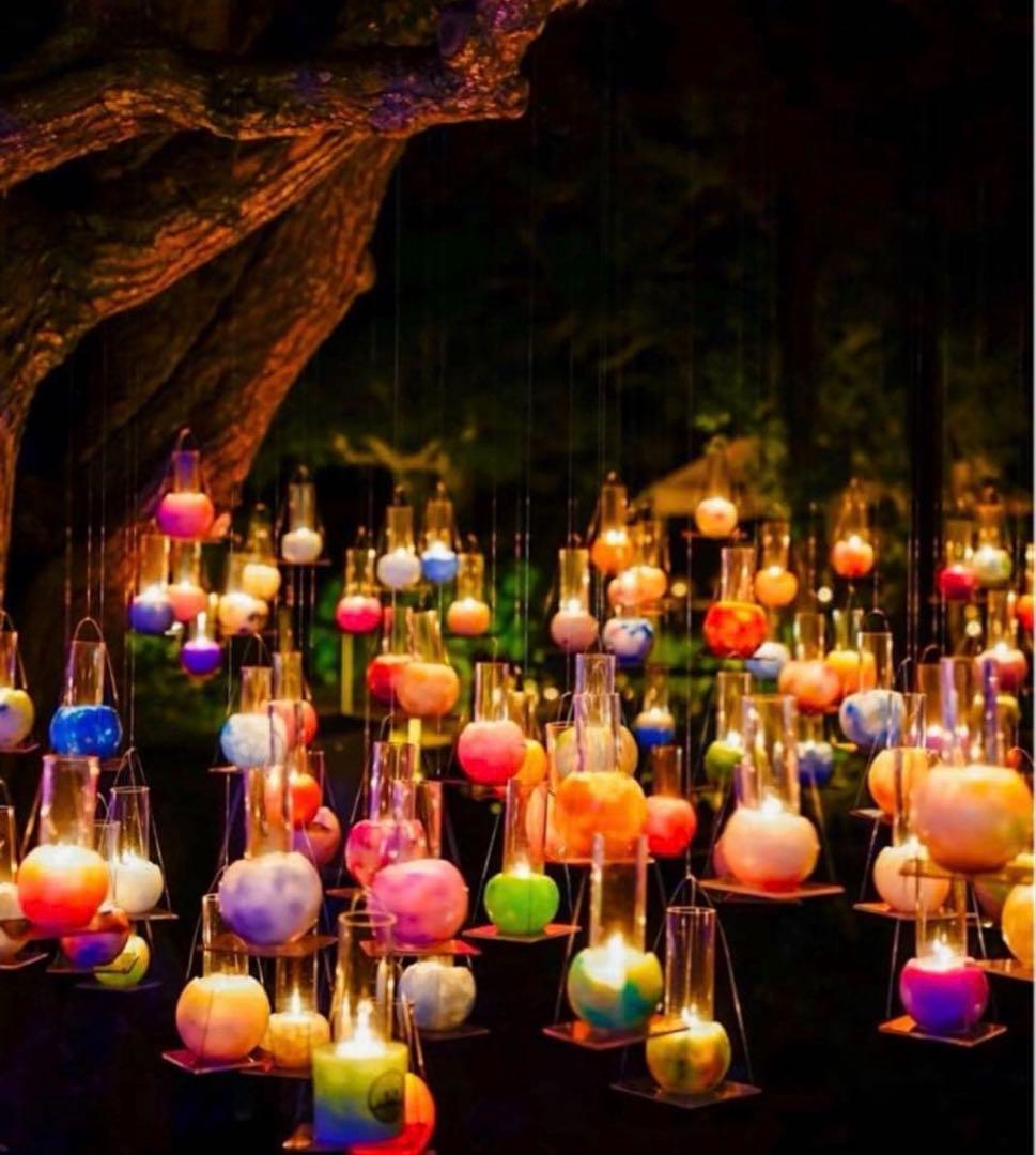 COACHパスキアコラボホワイト白二つ折り財布スナップウォレット.新品未使用品