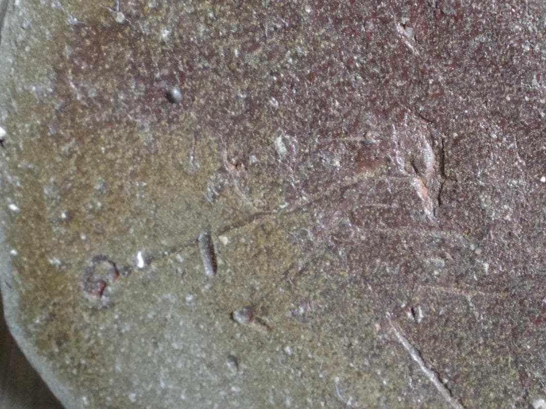 入手困難☆ジェフ・シャピロ【師：伊勢崎淳】焼き締め花器☆共箱