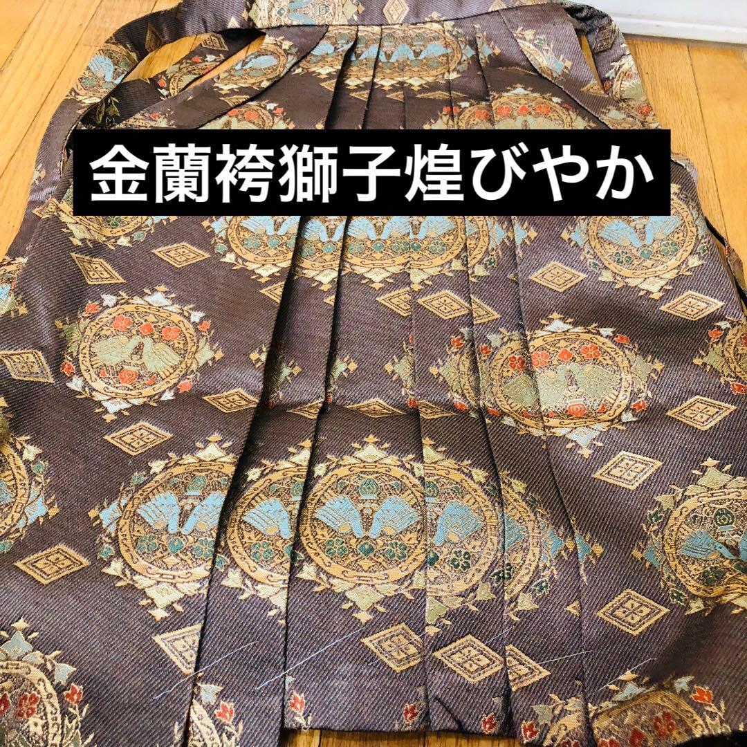 七五三五歳フルセット‼️Blue暈し⭐︎鷹凛々しい⭐︎金蘭袴煌びやか極めてる⭐︎逸品