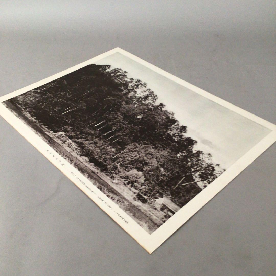 No5029 額装 米子城天守閣 明治9年撮影 トミタ高速写真印刷社 送料