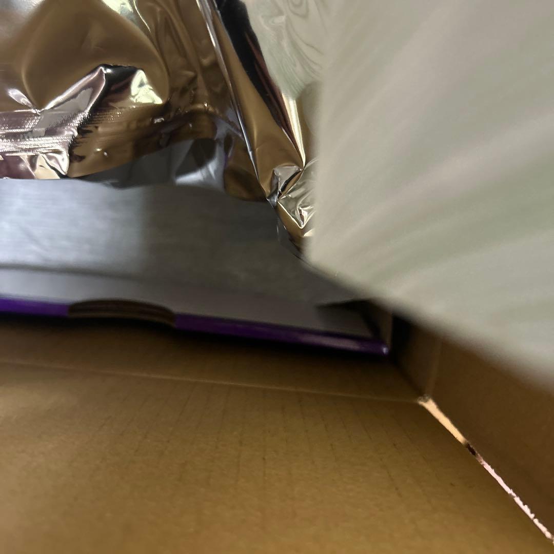 新品未開封Hayley Wilson × Nike SB Dunk LowPro