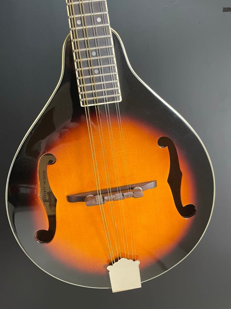 ジェームス James マンドリン JAM300BS ケース付き