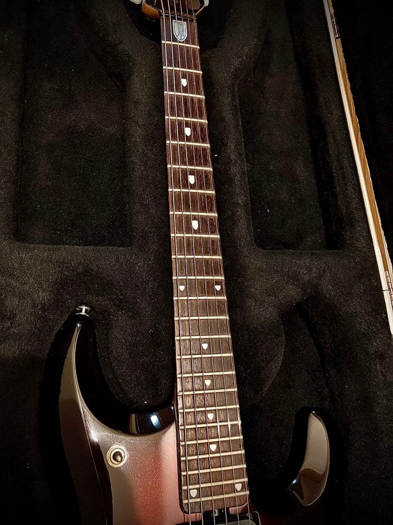 ミュージックマン　MUSIC MAN ジョンペトルーシ　2005年　JP6