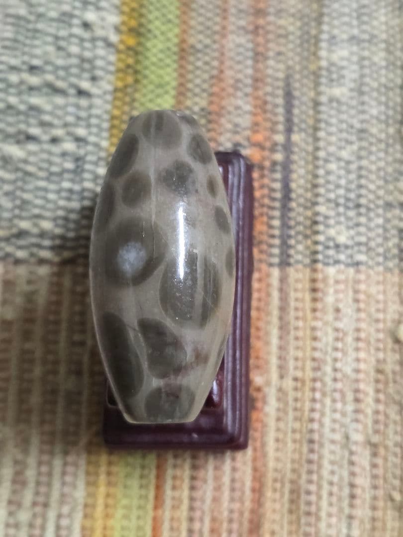 886 天珠 希少 釈迦偉伝 水晶質瑪瑙 西蔵 金剛 仏舎利！