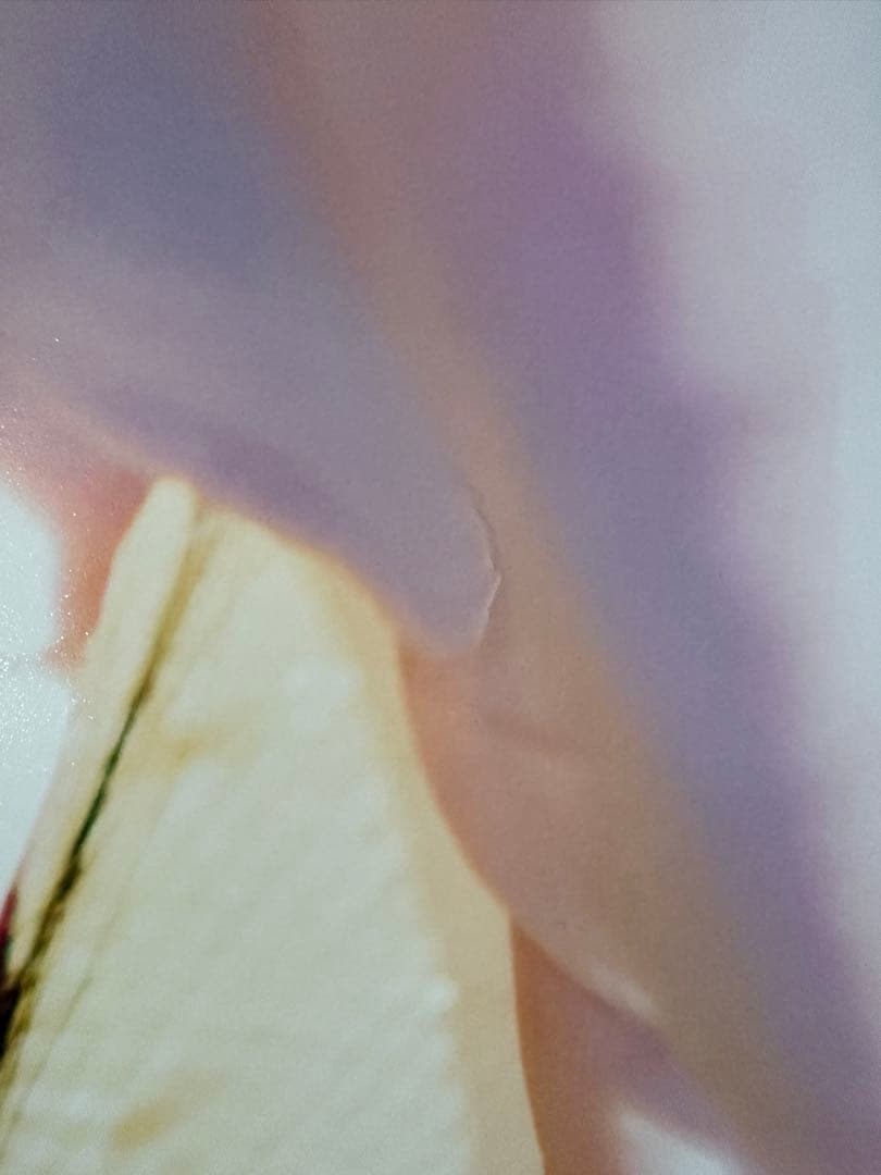 広瀬すずポスター【本人直筆サイン入り】【イベント限定特典】【非売品】在庫1点限り