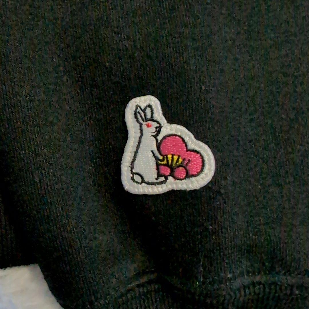 極美品✨️ FR2 パーカー ファイヤーパターン 色情兎 bunny 妖艶 希少
