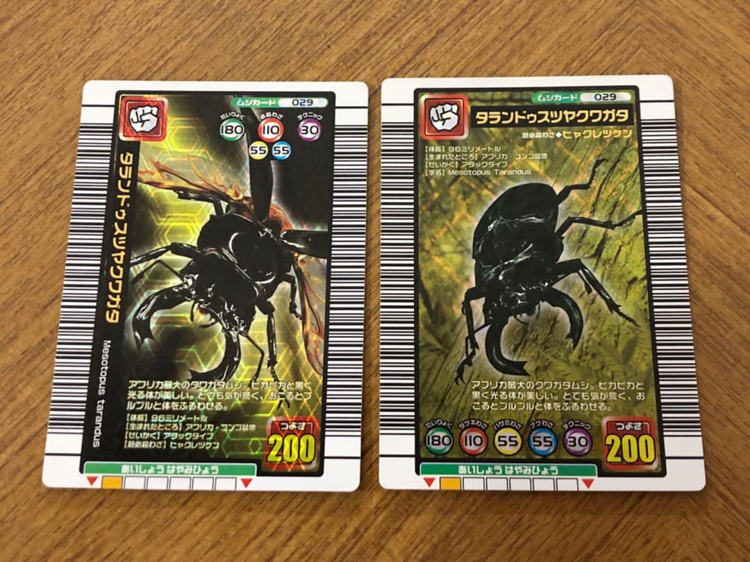 ムシキングタランドゥスツヤクワガタ