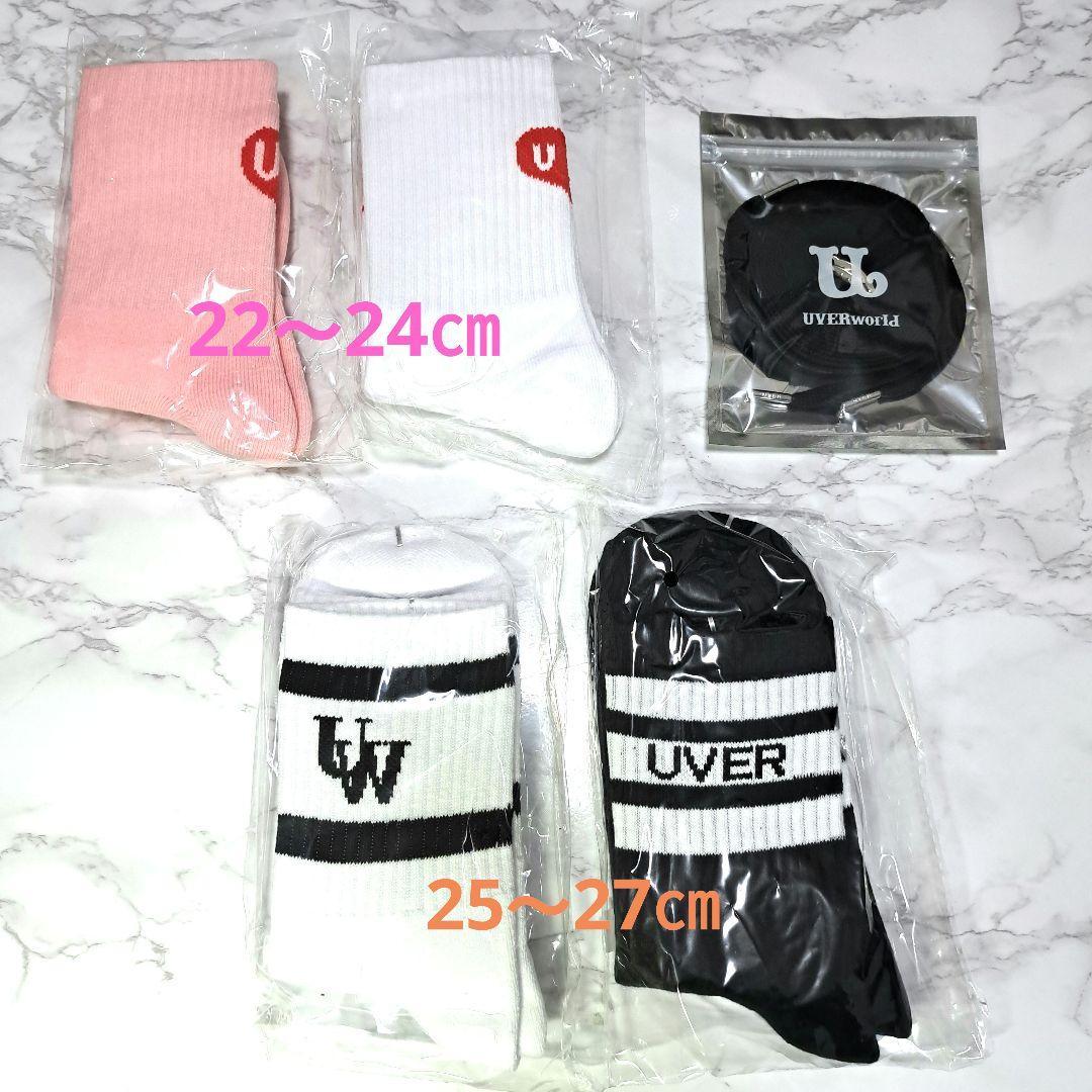 希少 湘南乃風 会員特権特典 Tシャツ 手ぬぐい お皿 冊子 広報