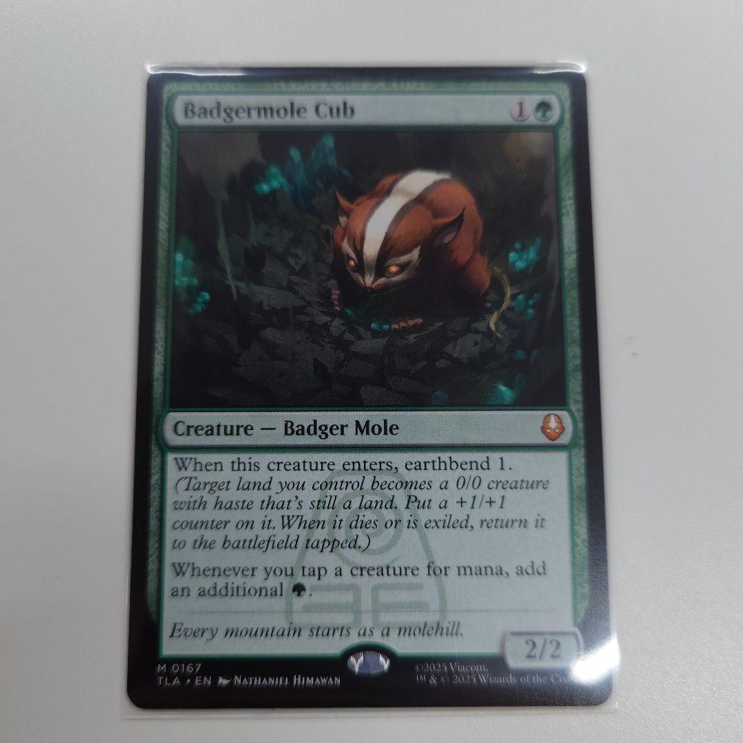 MTG アナグマモグラの仔 拡張 英語 1枚 MTG】「アナグマモグラの仔