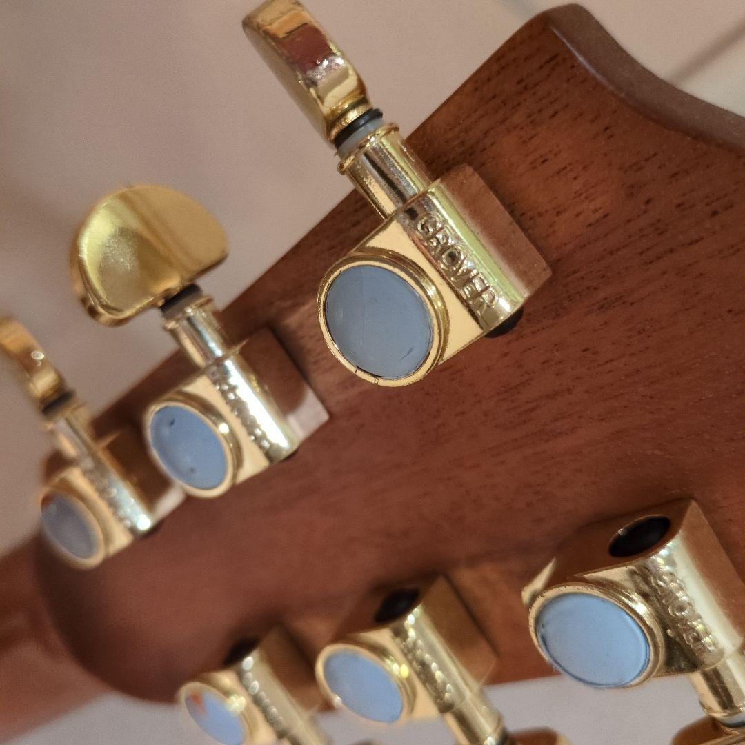 美麗!! DCT GR-747 KCE （エレアコ）純正ギグバック付き - メルカリ