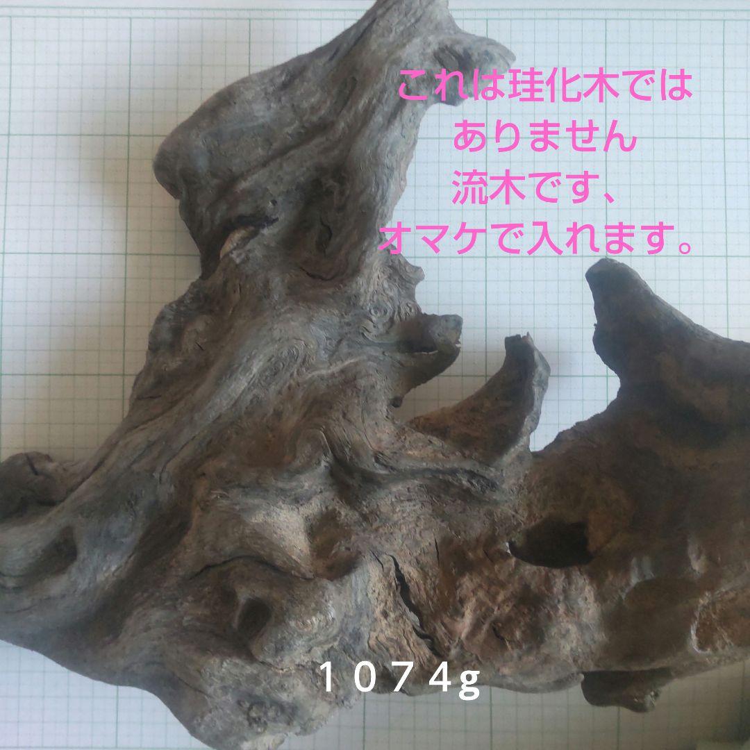 BM様専用、珪化木セット