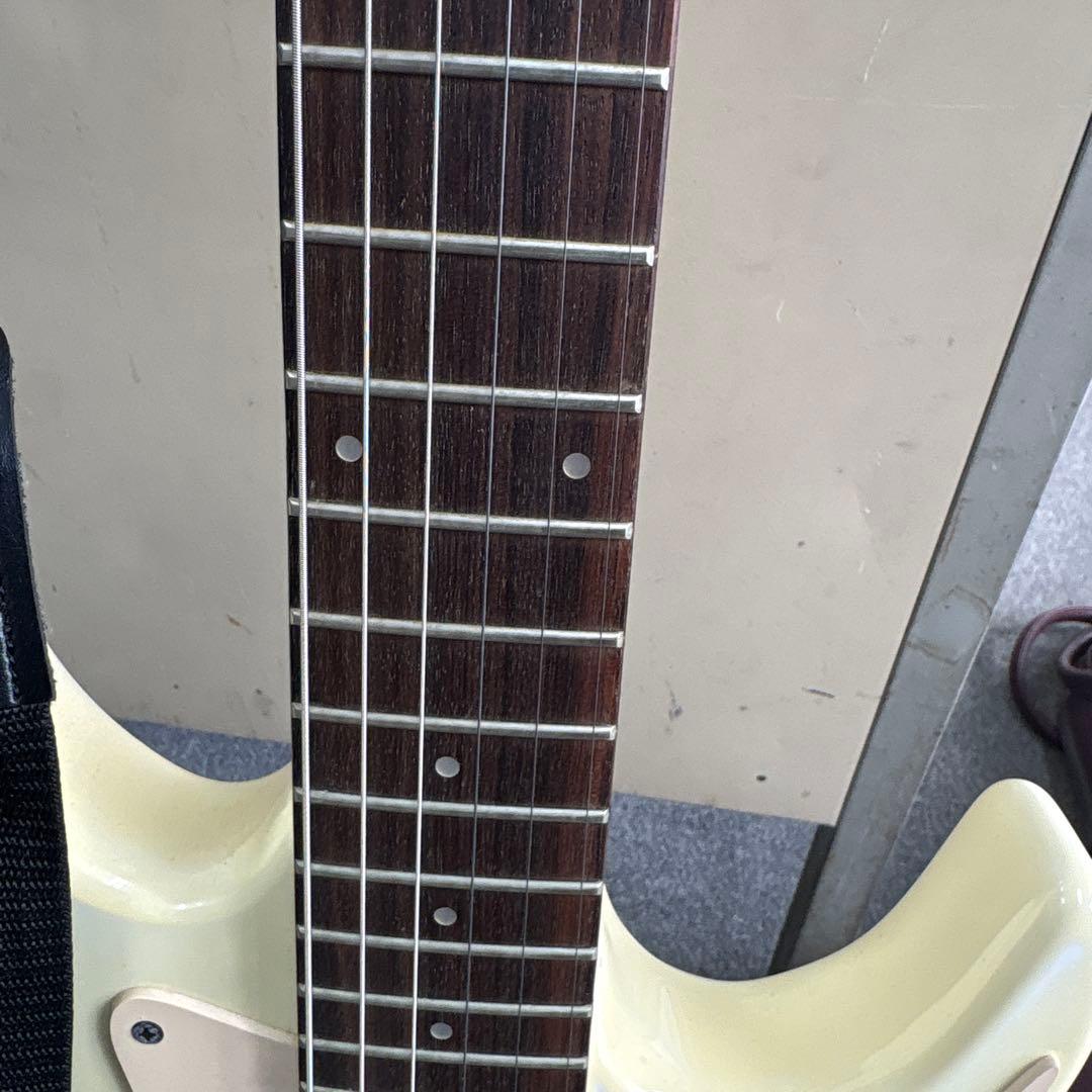 ⭐️希少⭐️ Aria Pro II（アリアプロII）　Black Dog