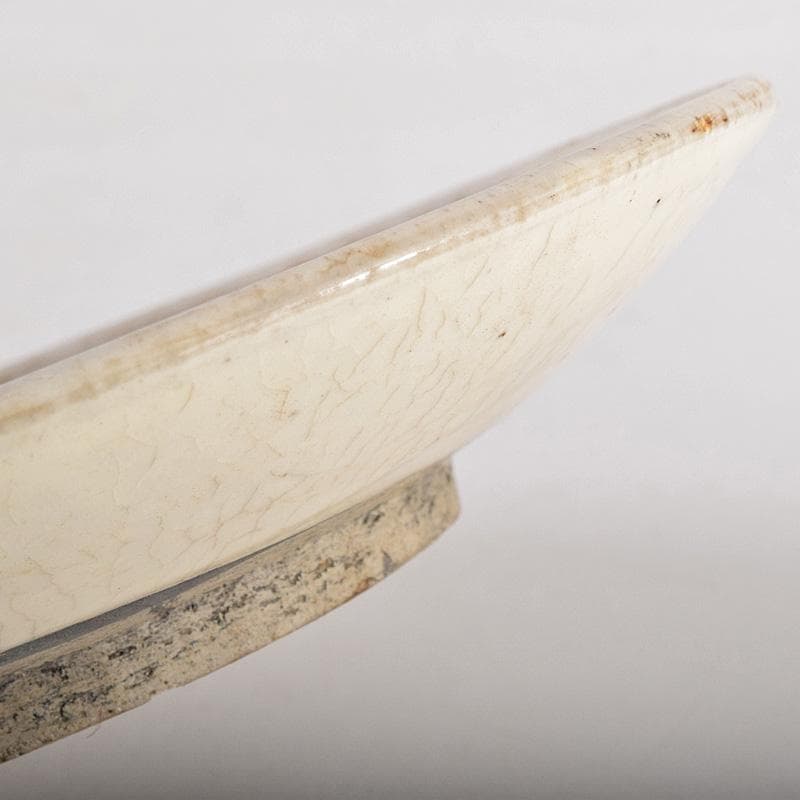 中国　赤絵　魚藻文盤　皿　V　R8757