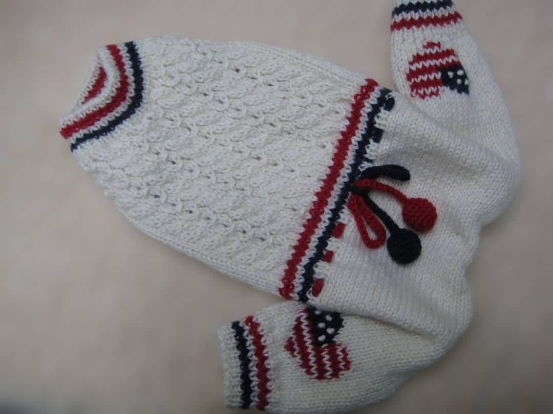 犬服♪手編み♪3名様オーダー受付終了致しましたm(__)m - メルカリ