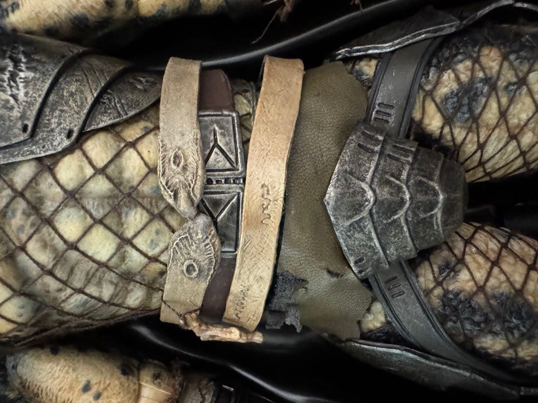 ❗️最安値　毎日値下げ❗️ ホットトイズ　エルダー　プレデター　2.0