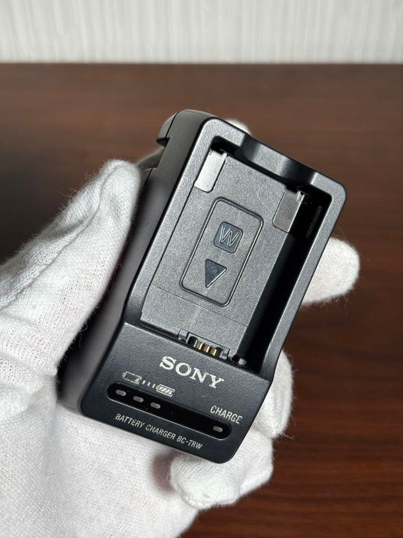 おまけ付】SONY α6100 標準ズームレンズセット SDカード充電器セット